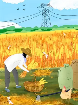何以共白头百度百科